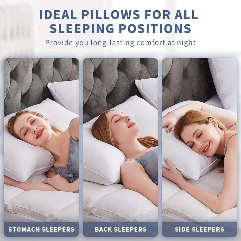 Egyptian Comforter Factory - 100% Cotton Cover