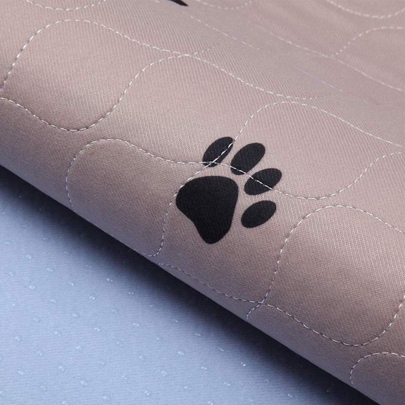 Pet Training Pad Supplier - Custom Multi-color