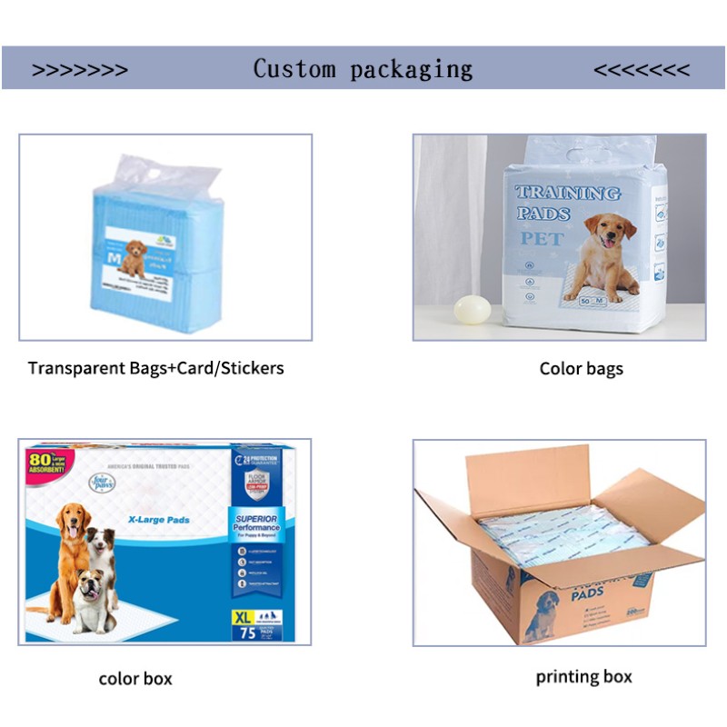 Pet Pee Pad Supplier - Wholesale Super Absorbent