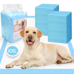 Puppy Training Pad Factory - Factory Direct 6 Layer