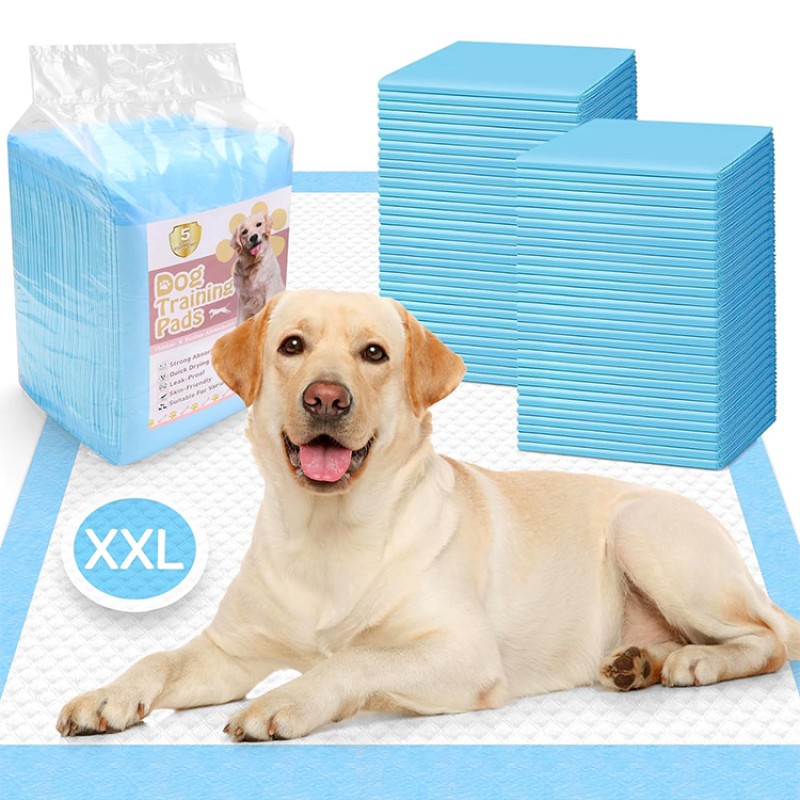 Puppy Training Pad Factory - Factory Direct 6 Layer