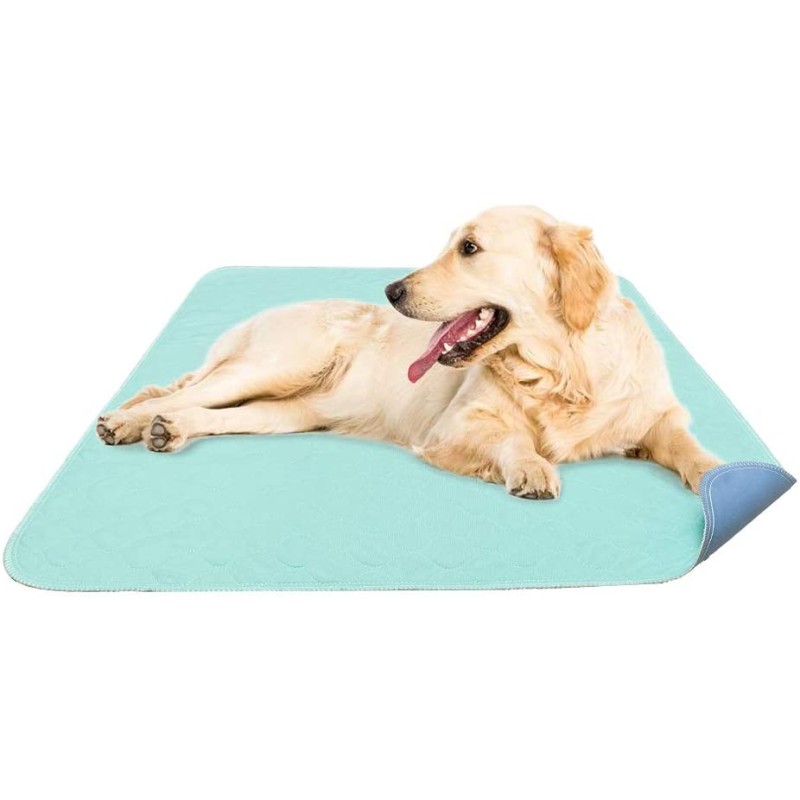 Dog Poop Bag Manufacturer - Eco Friendly Biodegradable