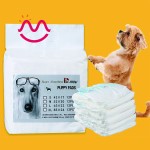 dog diaper