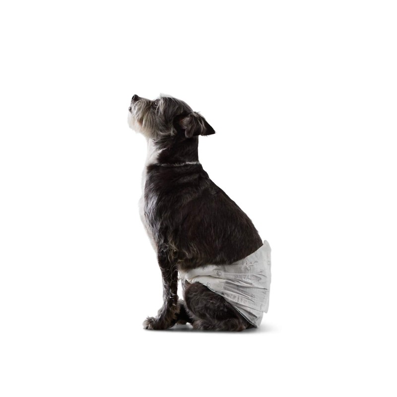Pet Diaper Factory - Factory Wholesale Waterproof