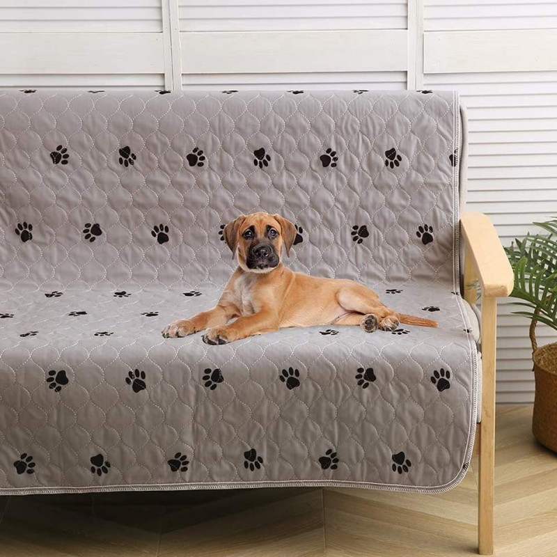 Dog Whelp Mat Factory - Reusable Training Pet