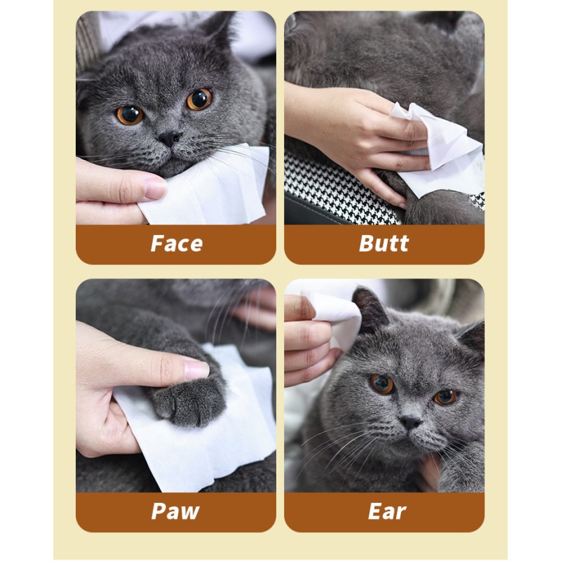 Pet Wipes Manufacturer - Bulk Brand Free 80