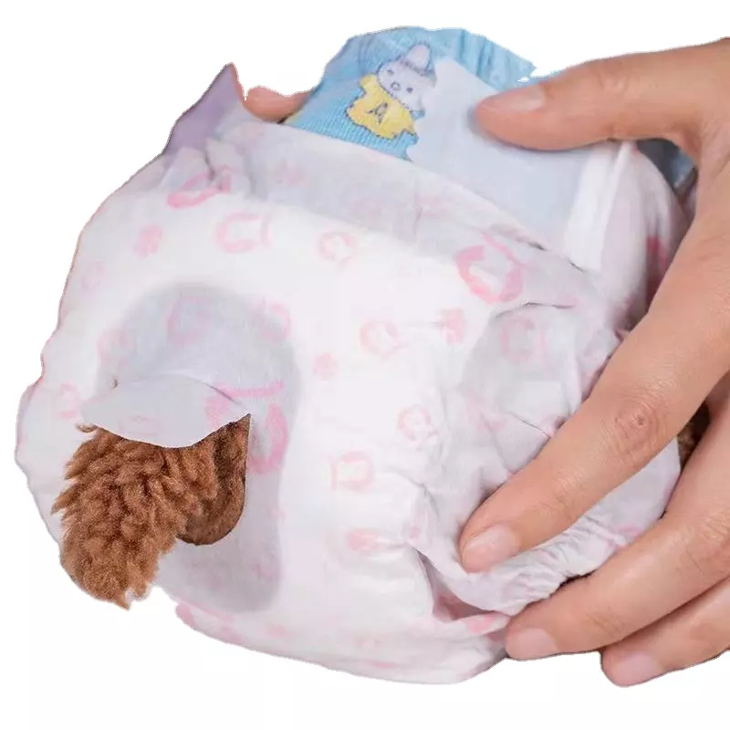 Male Dog Diaper Supplier - Customized Disposable