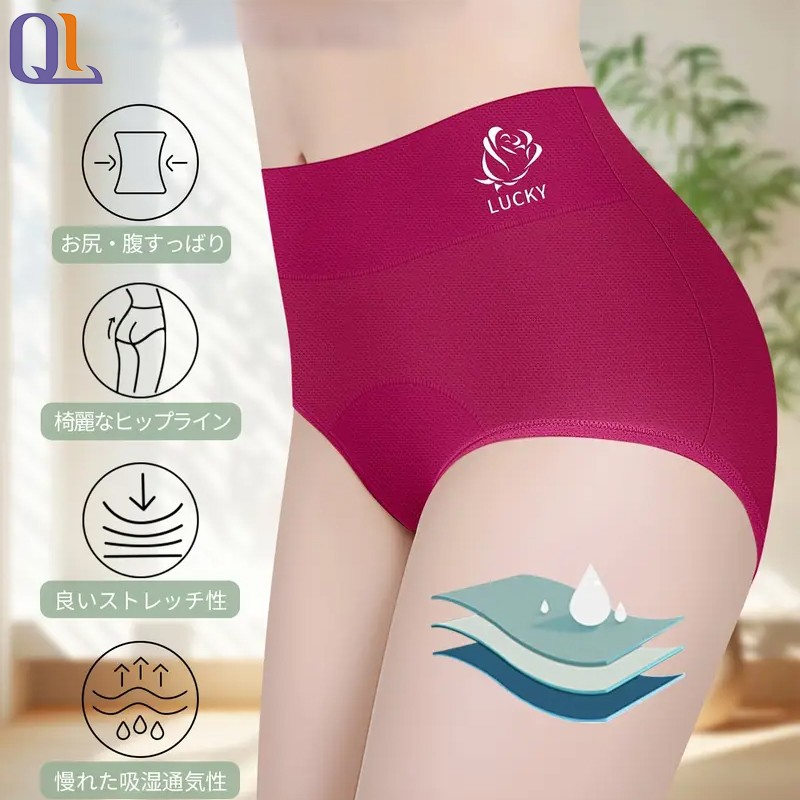 Solid Panties Factory - Smooth Nylon Knitted