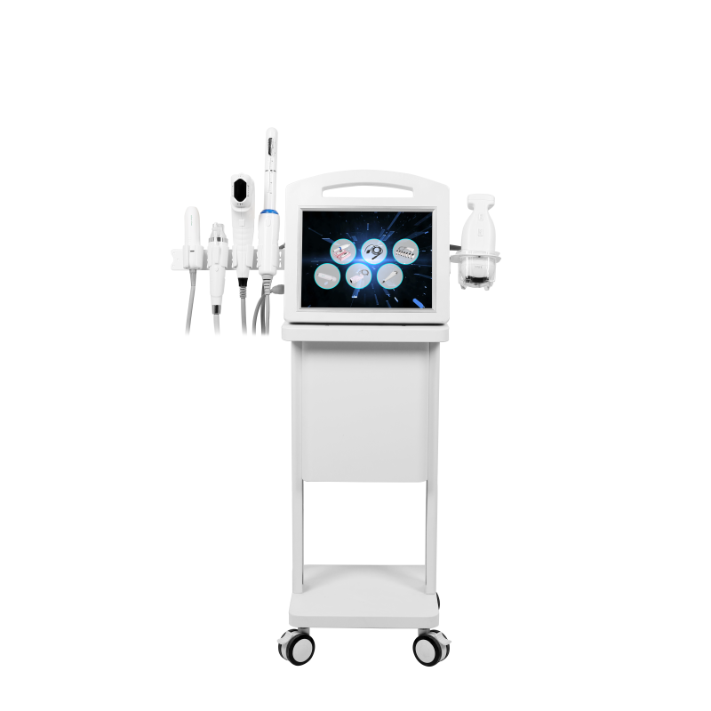 Factory Price 6 in 1 Facial Care Machine for Beauty Salon