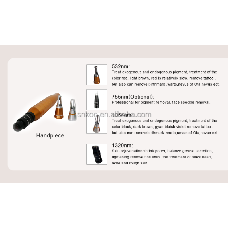 300W Diode Laser 808nm Hair Removal Diode Laser and Pico 2 In1 Tech 2025 Picosecond Laser Tattoo Removal Machine