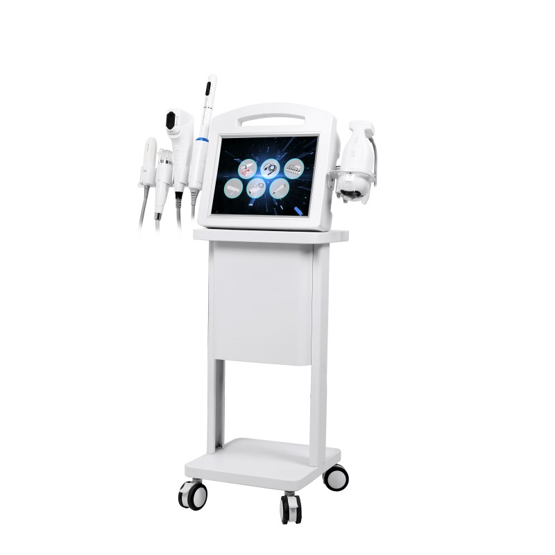 2025 Factory Price 6 in 1 Facial Care Machine for Beauty Salon