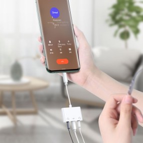 Audio Adapter Manufacturer - Type C to Dual