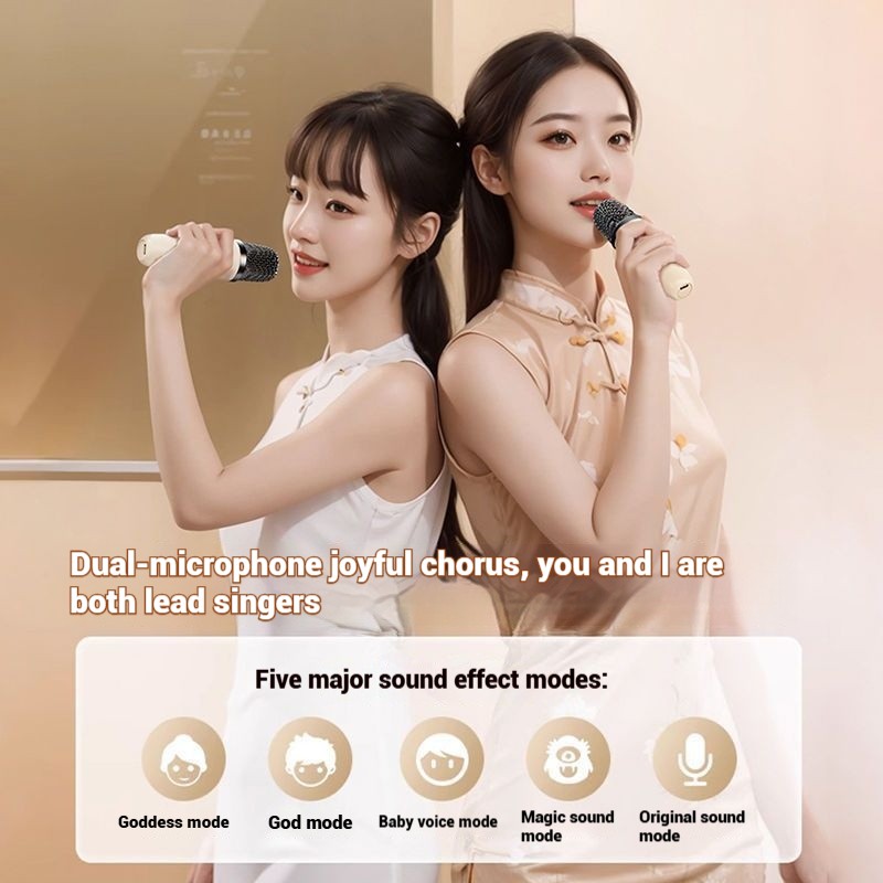 Karaoke Microphone Manufacturer - HOT SALE Handheld