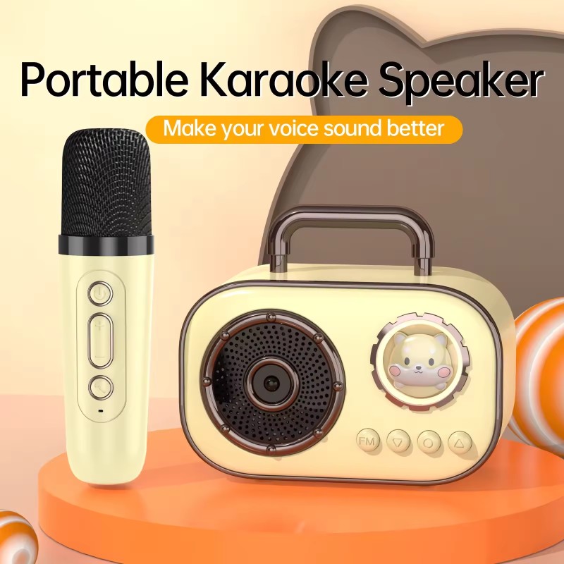 Bluetooth Speaker Manufacturer - OEM Portable Karaoke Speaker