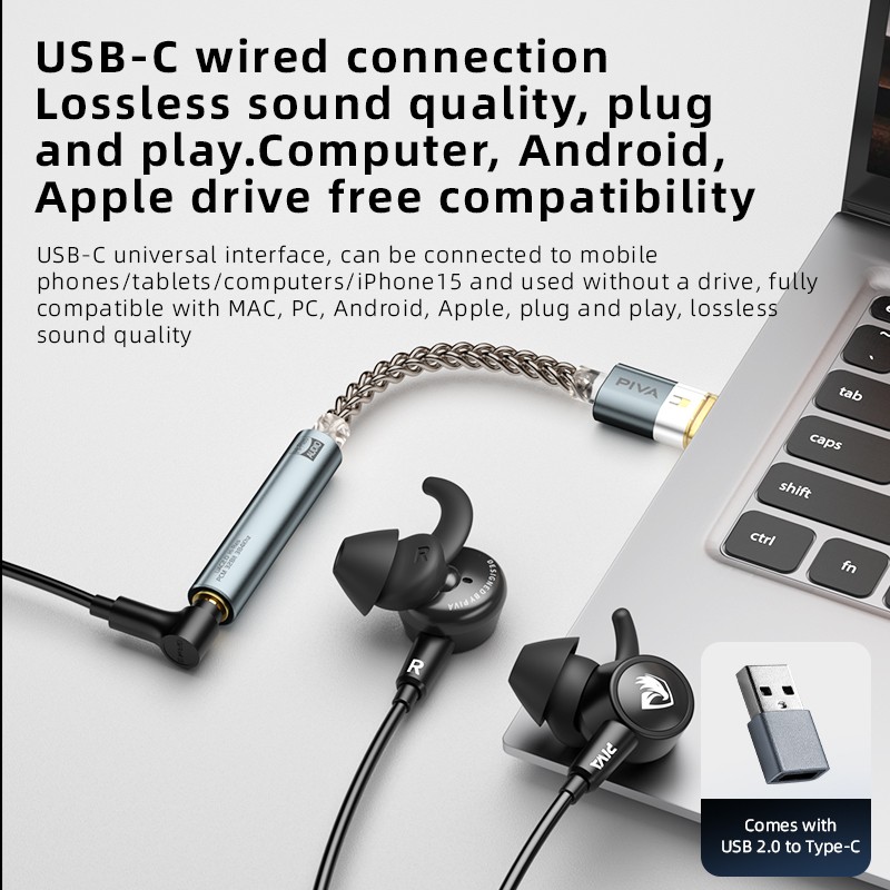 Audio Amplifier Supplier - PIVA BA30 Hi-Res