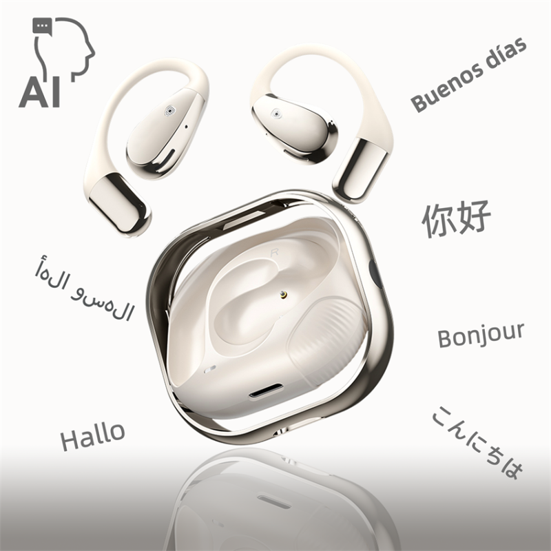 AI Translator Earbuds Supplier - 2025 Pro Real-time