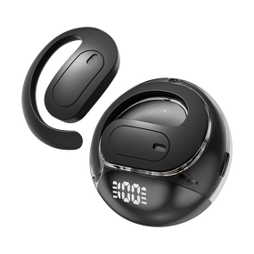 AI Translator Earbuds Manufacturer - New Arrival Coconut