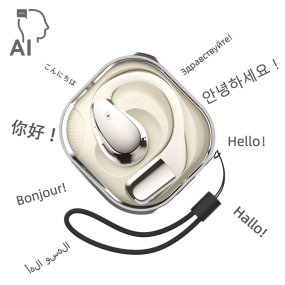 AI Translator Earbuds Supplier - 2025 Pro Real-time