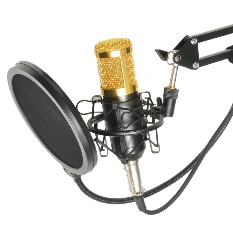 Condenser Microphone Factory - Wholesale Price BM800