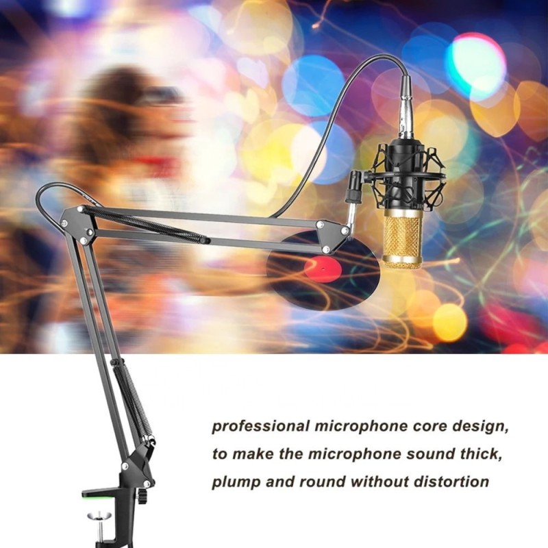 Condenser Microphone Factory - Wholesale Price BM800