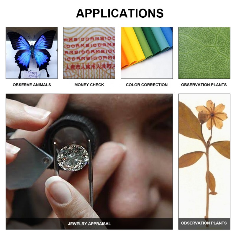 Microscope Lens Supplier - Mini Pocket Camera