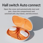 OWS Earhook Wireless Earbuds