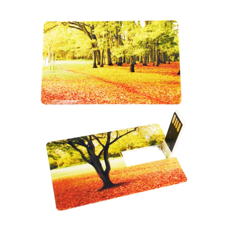 USB Flash Drive Manufacturer - OEM Credit Card USB Stick