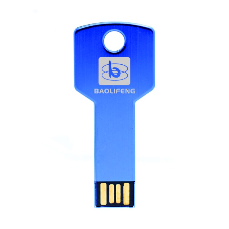 USB Flash Drive Manufacturer - OEM Metal Key Thumb Drive