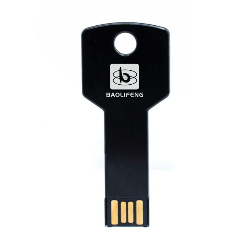 USB Flash Drive Factory - Custom Logo Metal Key USB Drive