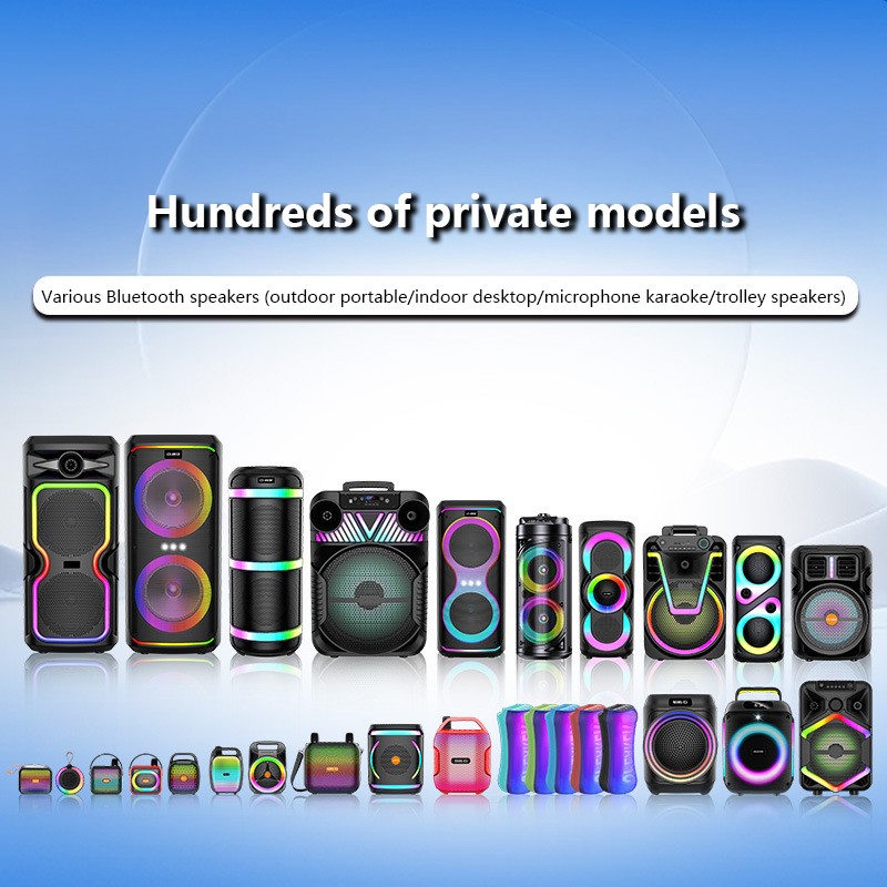 Portable Speaker Supplier - 4-inch RGB Karaoke