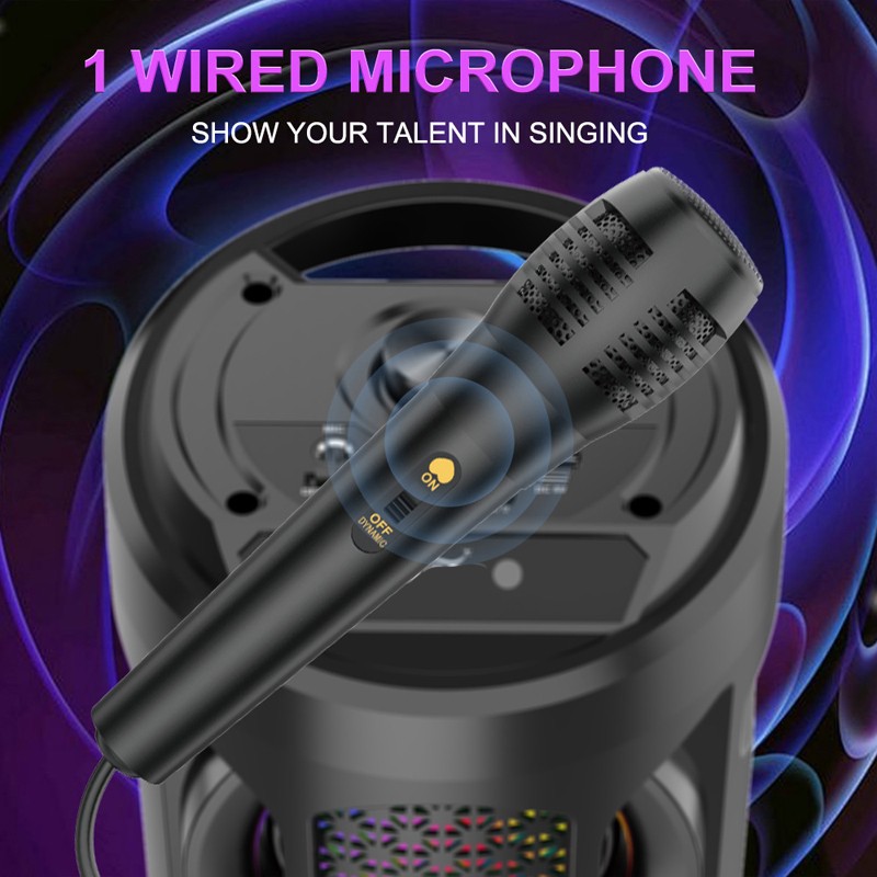 Party Speaker Factory - Professional Outdoor RGB