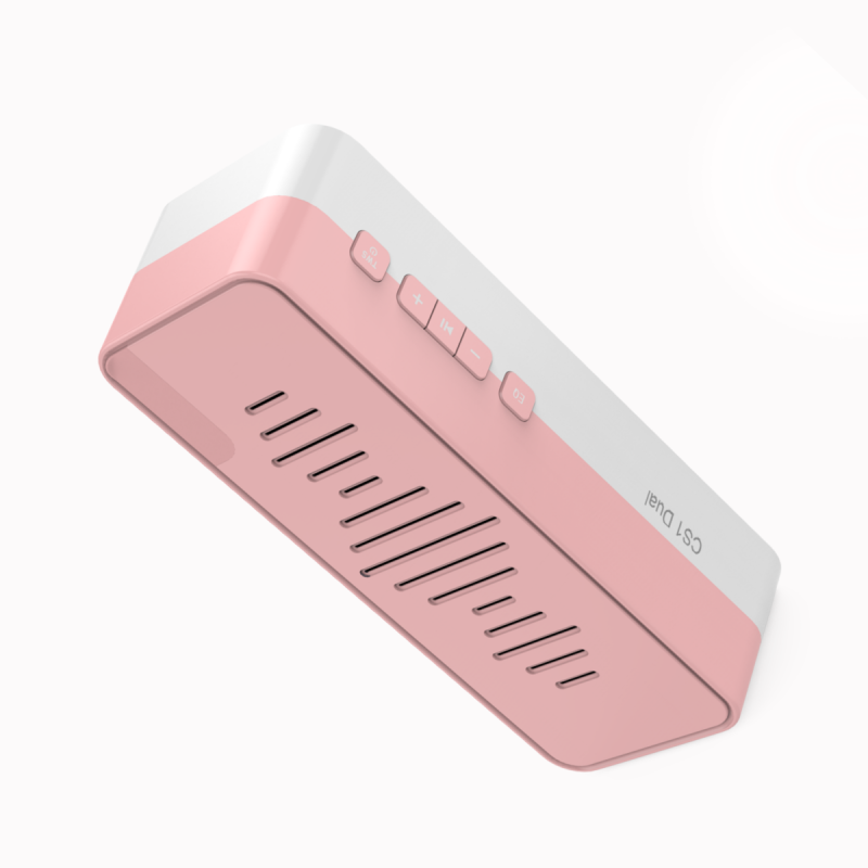 Bluetooth Speaker Manufacturer - CS1 Music Box Home Hifi With Microphone