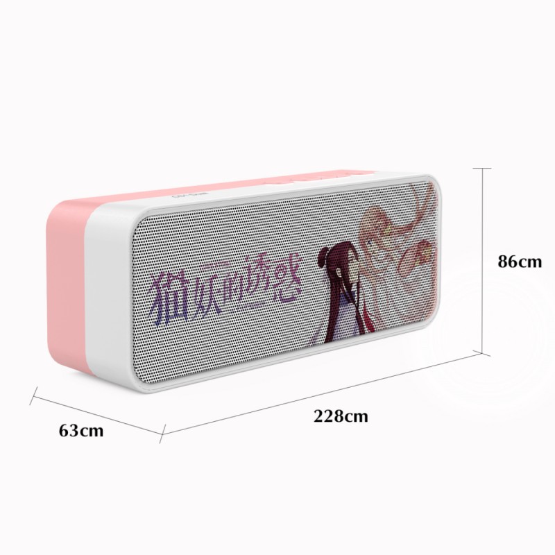 Bluetooth Speaker Manufacturer - CS1 Music Box Home Hifi With Microphone