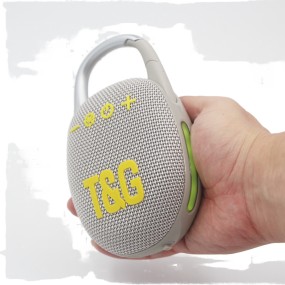 BT Speaker Manufacturer - Classic TG187