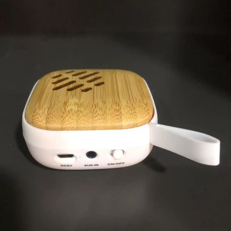 Portable Speaker Factory - High Quality 10W