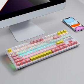 Mechanical Keyboard Factory - 87 Key RGB Lighting Cherry Gateron