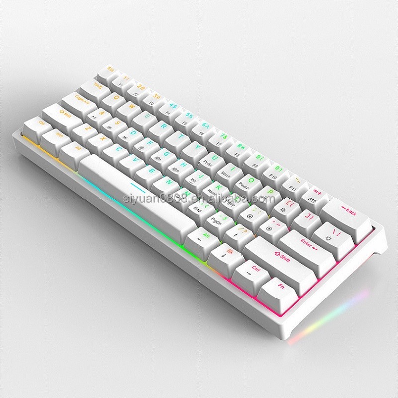 Mechanical Keyboard Manufacturer - Cute Mini 61 Key RGB Optical