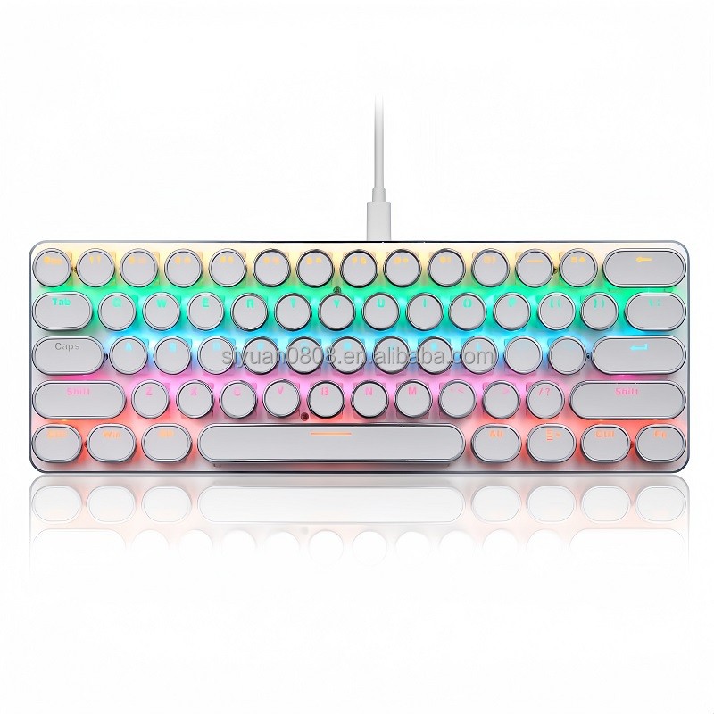 Mechanical Keyboard Manufacturer - New 61 Keys Mini RGB Wired