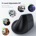 Hot Selling Mouse