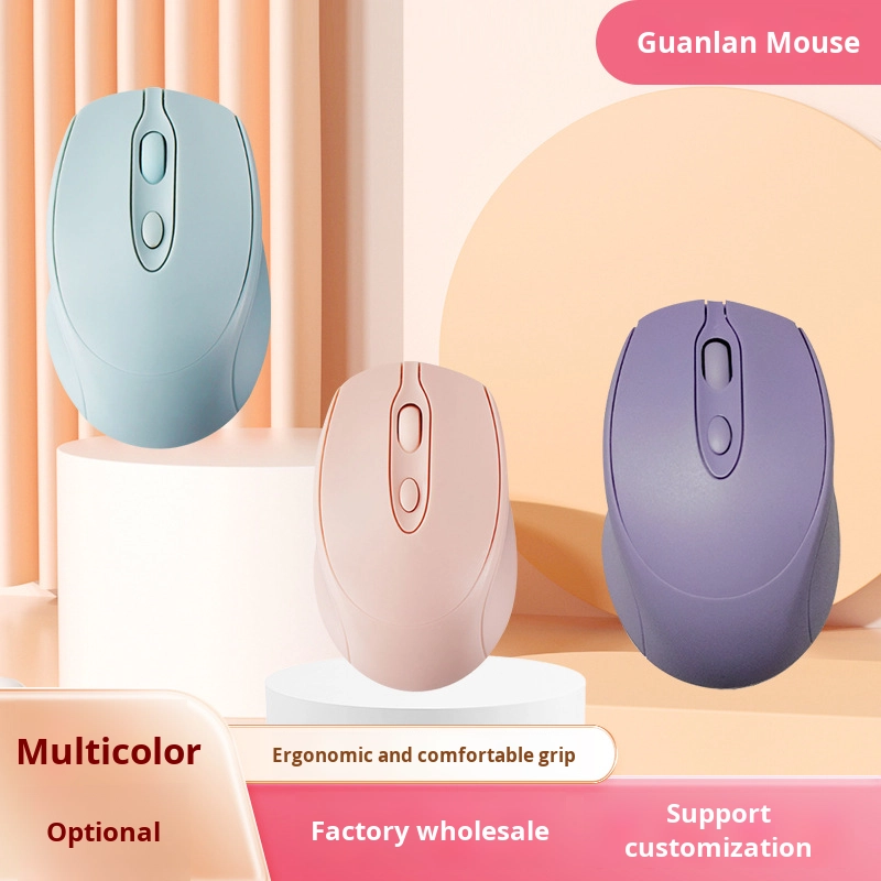 Wireless Mouse Factory - Dual-Mode 4D Ergonomic