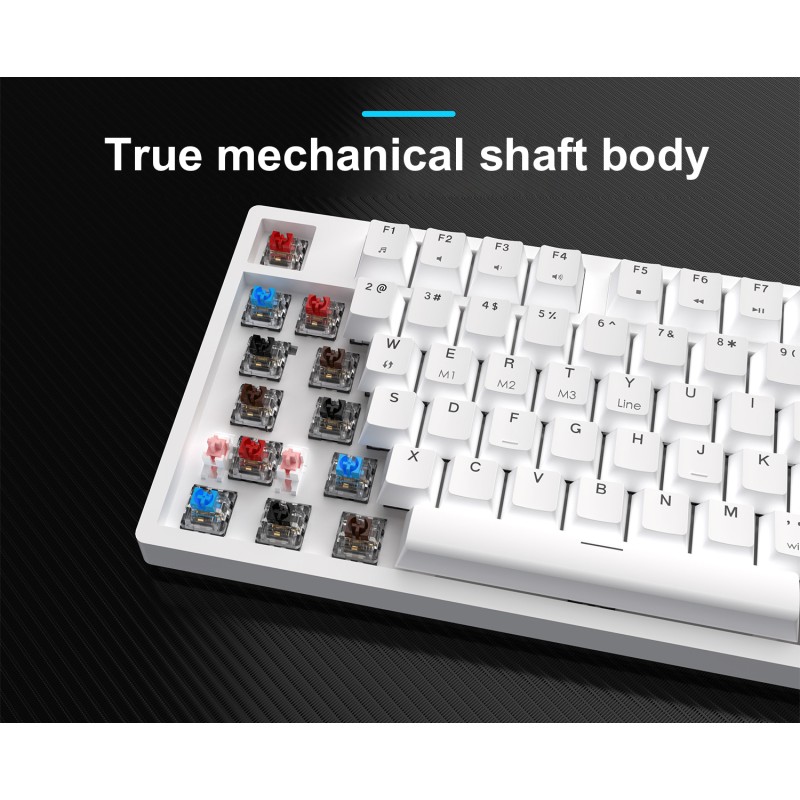 Mechanical Keyboard Supplier - Golden Supplier Mechanical