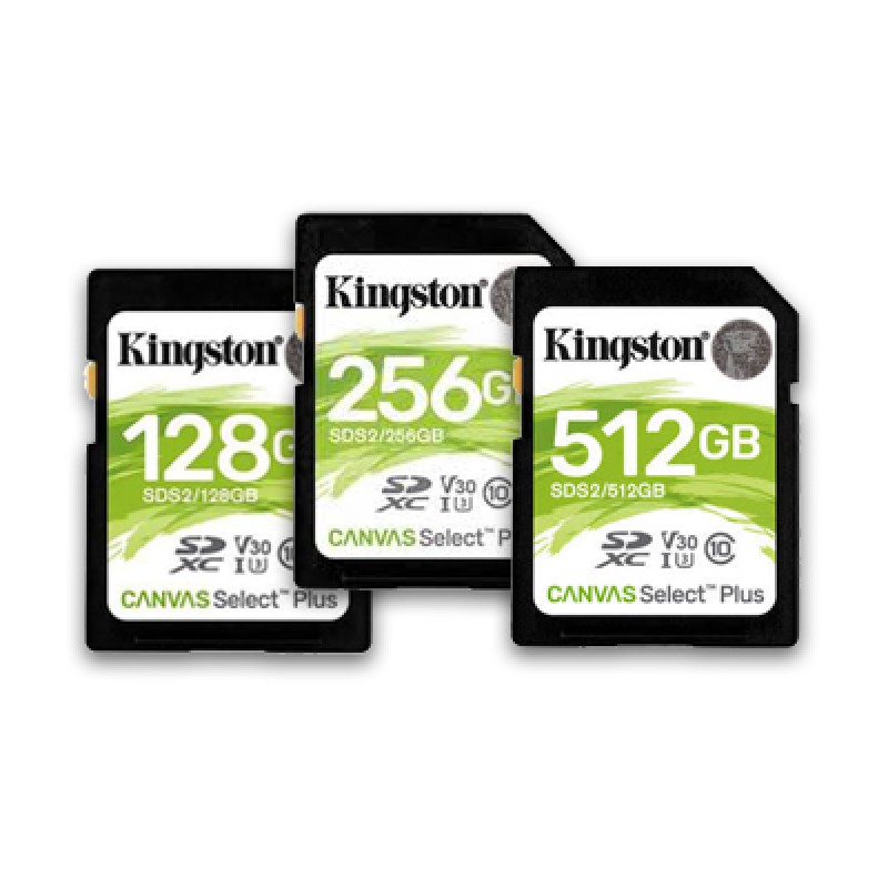 SD Memory Card Manufacturer - Kingston Canvas Select 256GB