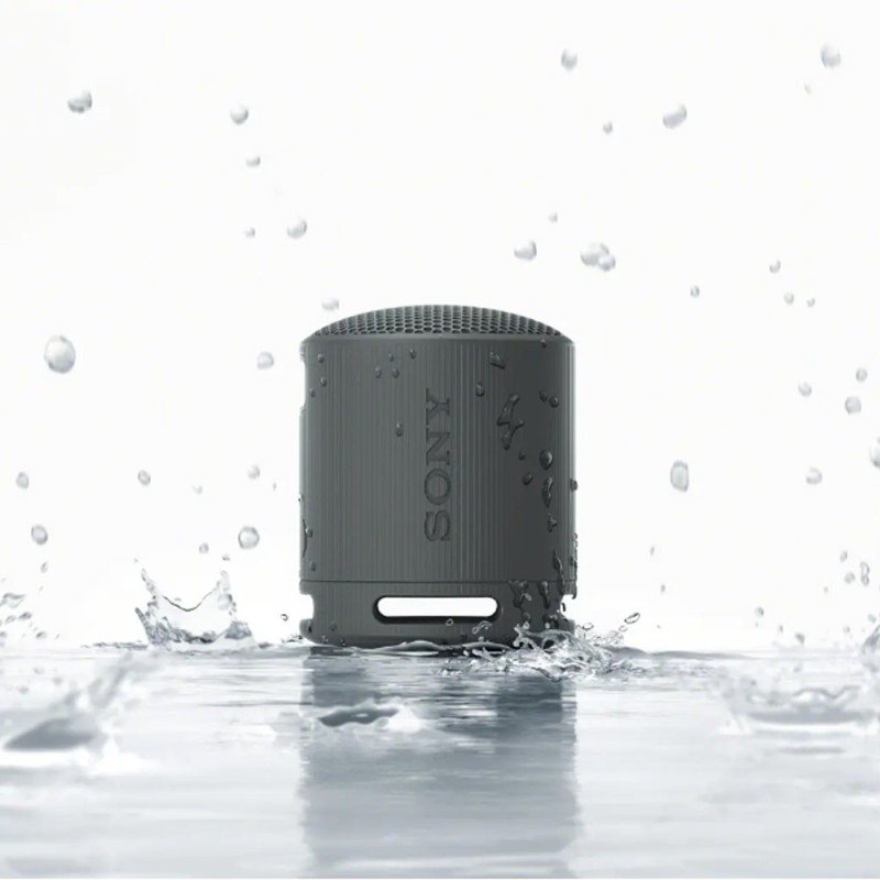 Portable Speaker Factory - Sony SRS-XB100 Lightweight Travel