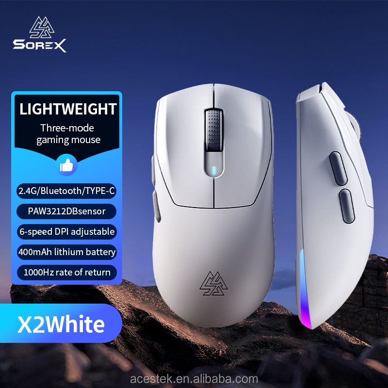 Gaming Mouse Manufacturer - Type C Triple Mode RGB