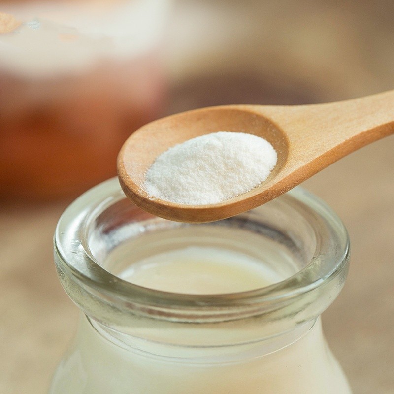 Commercial Solidified High Viscosity Yogurt Starter Lactobacillus Fermentation Packaged Bag Free Samples for Children