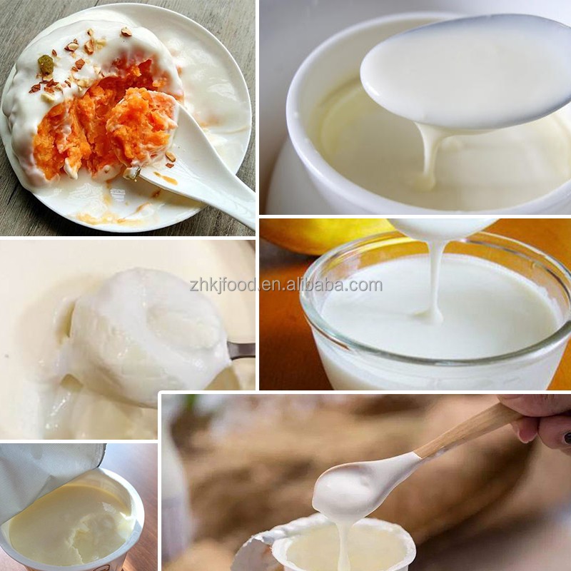 Commercial Solidified Liquid Yogurt Fermentation Strain Homemade Old Yogurt Packaged in a Bag