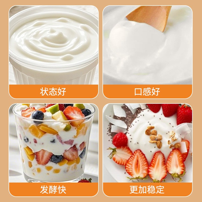 Commercial High Viscosity Yogurt Starter Solid Lactobacillus Fermentation Packaged in a Bag for Children