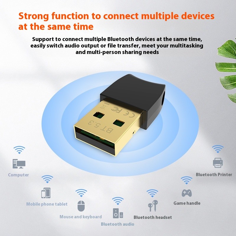 USB Adapter Manufacturer - 5.3 USB BT Adapter ABS