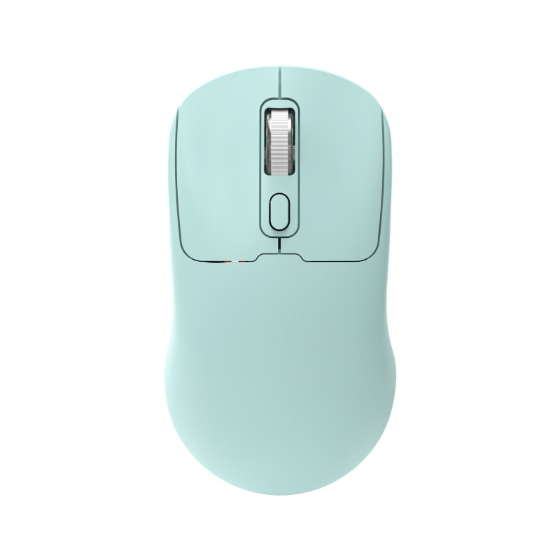 Wireless Mouse Manufacturer - Ergonomic 2.4G BT Dual