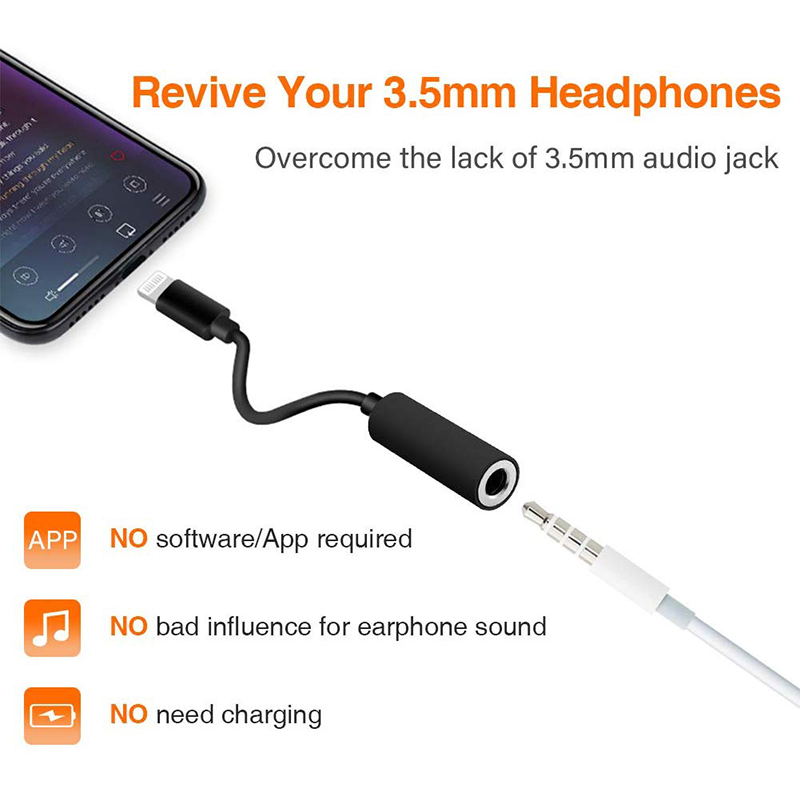 Audio Adapter Manufacturer - OTP Protected Type-C